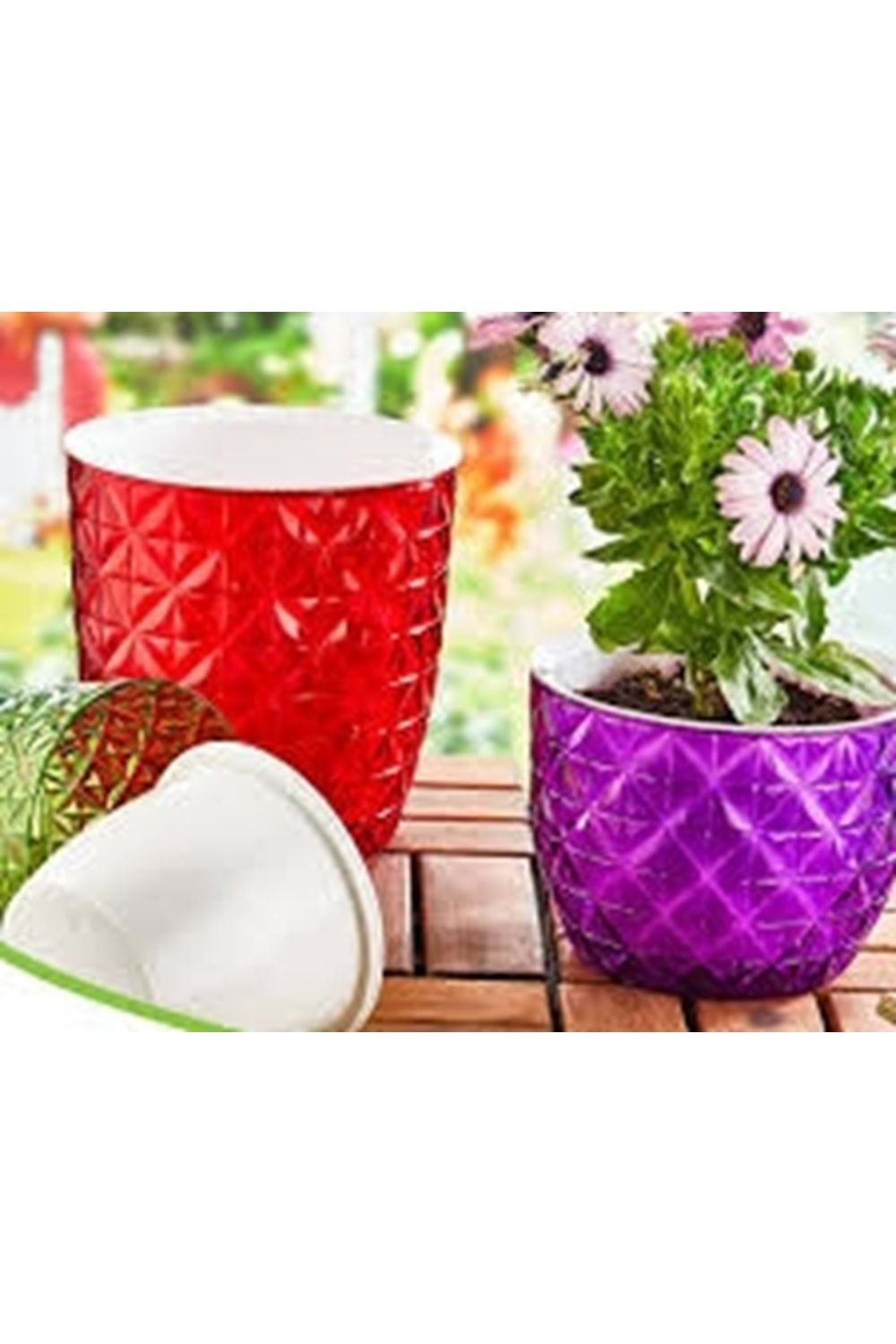 OKY639 YONCA ŞEFFAF SAKSI 2 NO (1*12)