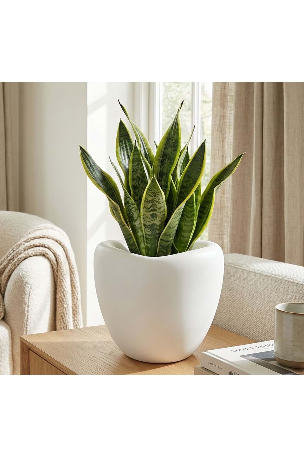 SERİNOVA LALE SAKSI 3 NO (1*4)