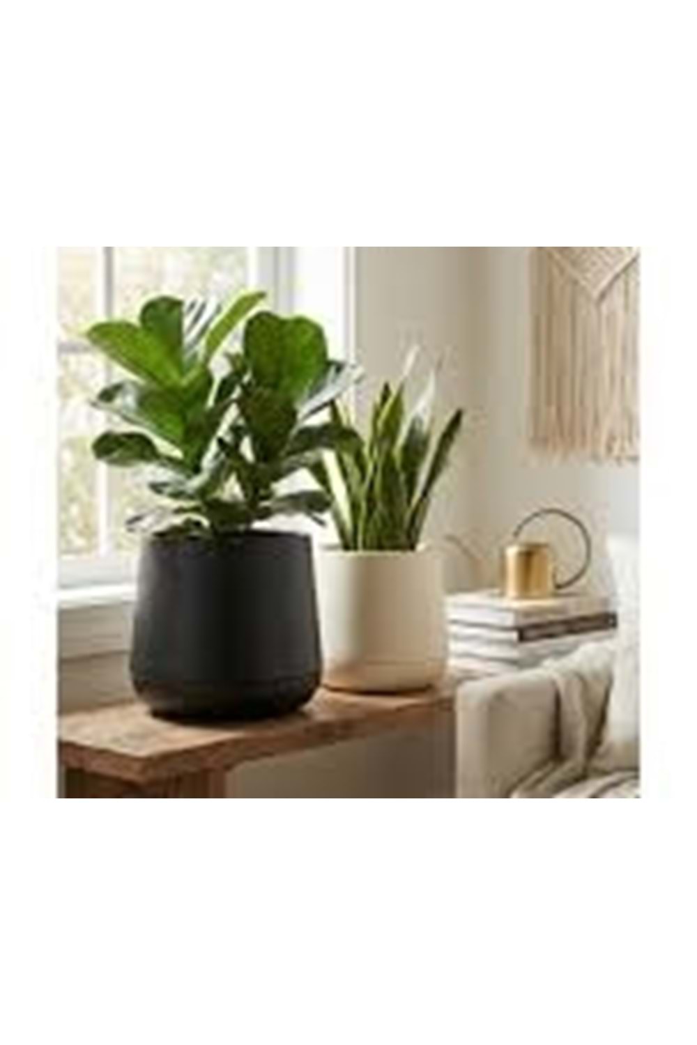 ATLAS SAKSI 3NO SERİNOVA (1*12)