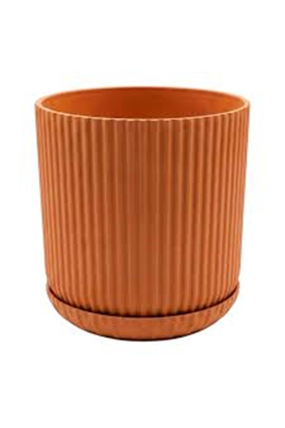 LOTUS SAKSI 2 NO SERİNOVA (1*33)