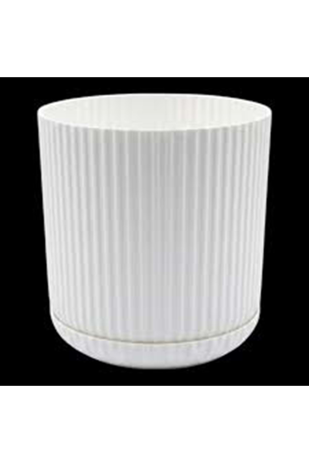 LOTUS SAKSI 3 NO SERİNOVA (1*24)