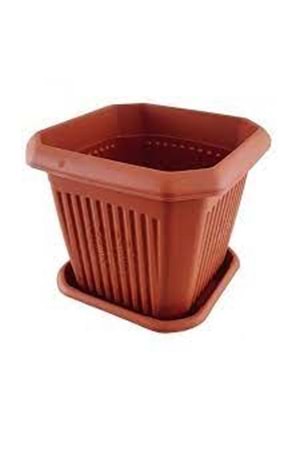 HAK 5 NO KARE SAKSI (1*60)