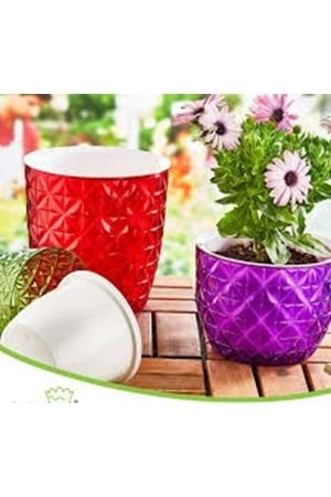 OKY638 YONCA ŞEFFAF SAKSI 1 NO (1*12)