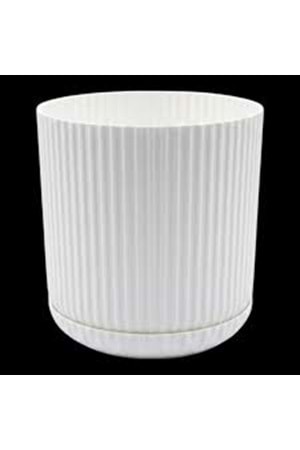 LOTUS SAKSI 3 NO SERİNOVA (1*24)