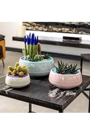 ELVAN ARAJMAN SAKSI 1NO (1*12) SERİNOVA