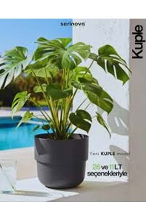 SERİNOVA 4 NO KUPLE SAKSI TAKIM (1*6)
