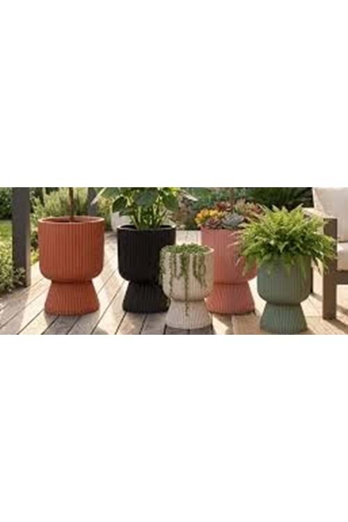 LOTUS AYAKLI SAKSI 3 NO SERİNOVA (1*6)