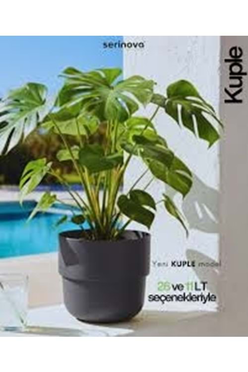 SERİNOVA 5 NO KUPLE SAKSI TAKIM (1*6)